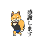 柴犬マッスル！（個別スタンプ：5）