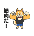 柴犬マッスル！（個別スタンプ：17）