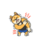 柴犬マッスル！（個別スタンプ：19）