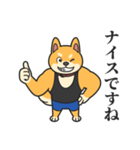 柴犬マッスル！（個別スタンプ：26）