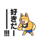 柴犬マッスル！（個別スタンプ：35）