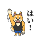 柴犬マッスル！（個別スタンプ：39）