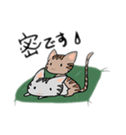 由里葉のねこちゃんスタンプ（個別スタンプ：6）