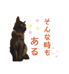 かぎさんと紫苑 6（個別スタンプ：2）