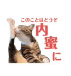 かぎさんと紫苑 6（個別スタンプ：7）