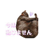 かぎさんと紫苑 6（個別スタンプ：10）