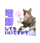かぎさんと紫苑 6（個別スタンプ：14）