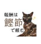 かぎさんと紫苑 6（個別スタンプ：20）