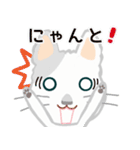 にゃーにゃーねこニャー（個別スタンプ：19）