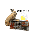 おもち-Omochi（個別スタンプ：4）