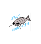 巷で人気のオオグソクムシ君（個別スタンプ：7）