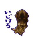 チョコラブのAndy（個別スタンプ：7）