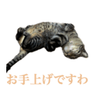 ただのねこのスタンプ。3（個別スタンプ：7）