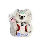 黒柴とゆかいな仲間たち（個別スタンプ：22）
