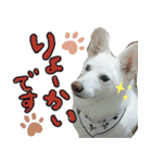 のあスタンプ。犬（個別スタンプ：2）
