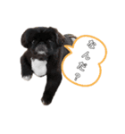 勘太君！（個別スタンプ：6）