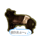 勘太君！（個別スタンプ：8）