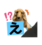 ボクは藤本kotetsuっち！！（個別スタンプ：4）