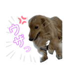 ボクは藤本kotetsuっち！！（個別スタンプ：7）
