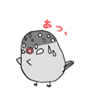 とある日の文鳥（個別スタンプ：3）