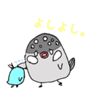 とある日の文鳥（個別スタンプ：4）