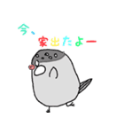 とある日の文鳥（個別スタンプ：5）