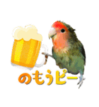 コザクラインコのハットリくん（個別スタンプ：2）