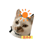 平次＆孝2（個別スタンプ：1）