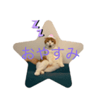 平次＆孝2（個別スタンプ：2）