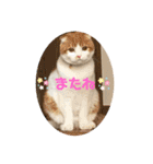 平次＆孝2（個別スタンプ：7）