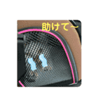 平次＆孝2（個別スタンプ：13）