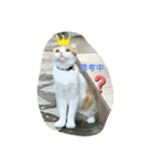 平次＆孝2（個別スタンプ：16）