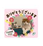平次＆孝2（個別スタンプ：22）