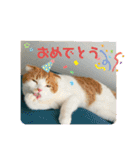 平次＆孝2（個別スタンプ：24）