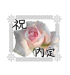 薔薇＋白レース＋手書きお祝い言葉（個別スタンプ：11）