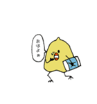 ひよこ豆の日常（個別スタンプ：1）