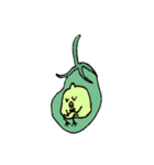 ひよこ豆の日常（個別スタンプ：20）