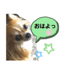 nico＆jin no.2（個別スタンプ：4）