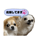 nico＆jin no.2（個別スタンプ：24）