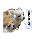 nico＆jin no.2（個別スタンプ：27）