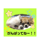 nico＆jin no.2（個別スタンプ：40）