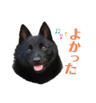 よるあさ4-はんのう編-（個別スタンプ：9）