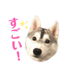 よるあさ4-はんのう編-（個別スタンプ：10）