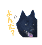 よるあさ4-はんのう編-（個別スタンプ：13）