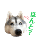 よるあさ4-はんのう編-（個別スタンプ：20）