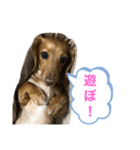 ゆめちゃんの1日②（個別スタンプ：1）