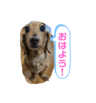 ゆめちゃんの1日②（個別スタンプ：2）