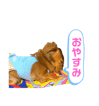 ゆめちゃんの1日②（個別スタンプ：3）