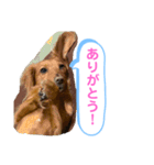 ゆめちゃんの1日②（個別スタンプ：4）