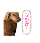 ゆめちゃんの1日②（個別スタンプ：7）